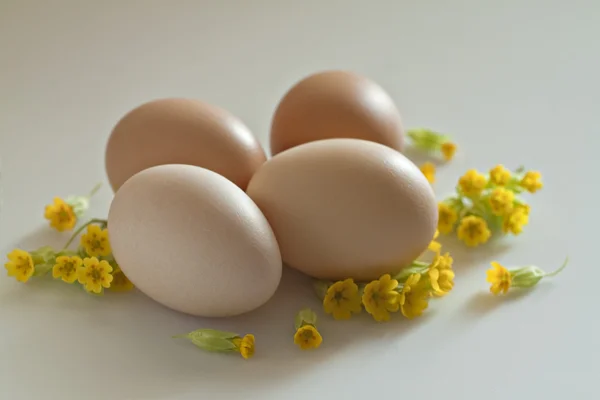 Ovos castanhos de Páscoa . — Fotografia de Stock