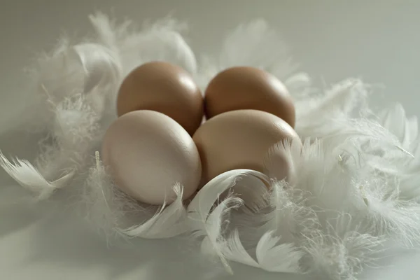 Huevos pardos para Pascua . — Foto de Stock