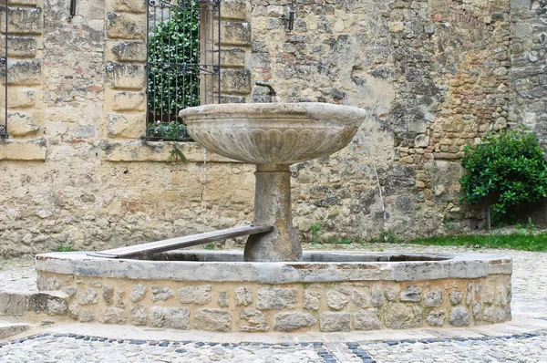 Historischer Brunnen. — Stockfoto