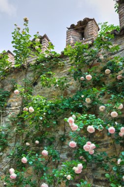 Gropparello castle. Emilia-Romagna. İtalya.