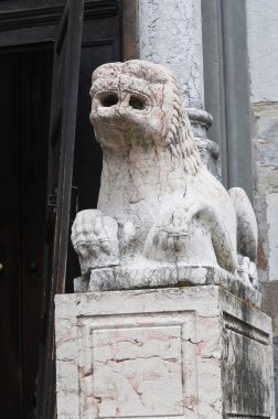 katedral. Piacenza. Emilia-Romagna. İtalya.