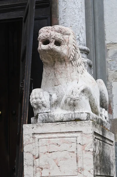 Katedrála. Piacenza. Emilia-Romagna. Itálie. — Stock fotografie