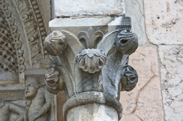 Cattedrale. Piacenza. Emilia-Romagna. Italia . — Foto Stock