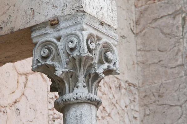 Catedral. Piacenza. Emilia-Romagna. Itália . — Fotografia de Stock
