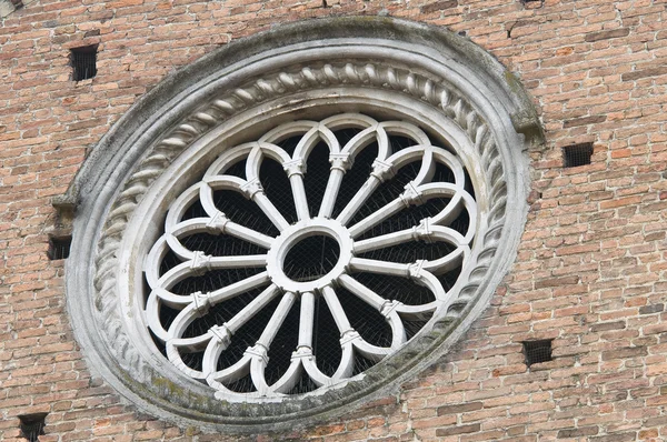 圣 antonino 大教堂。皮亚琴察。艾米利亚-罗马涅。意大利. — 图库照片
