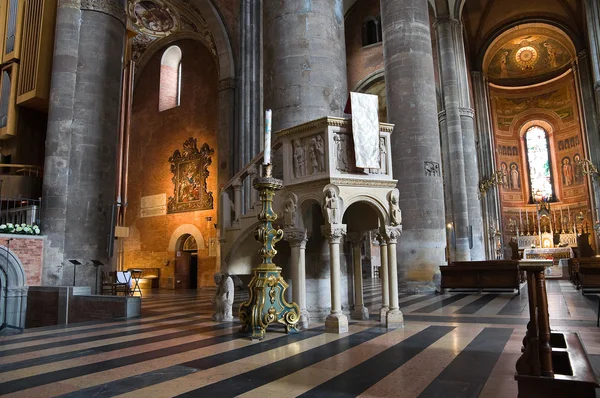 大教堂。皮亚琴察。艾米利亚-罗马涅。意大利. — 图库照片