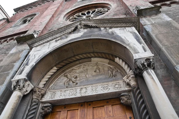 St. donnino kyrka. Piacenza. Emilia-Romagna. Italien. — Stockfoto