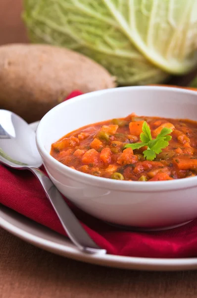 stock image Vegetable soup.