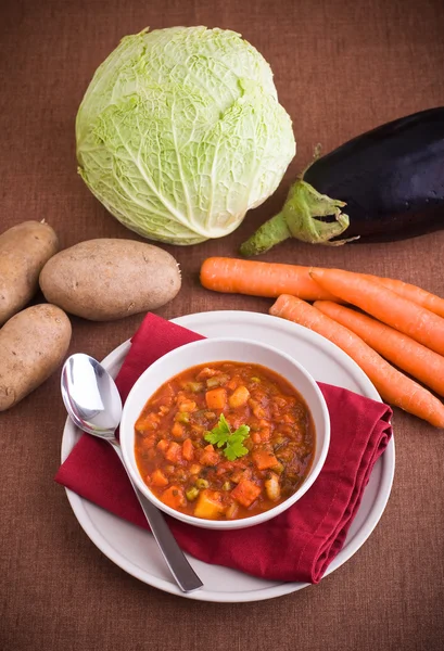 Zeleninová polévka. — Stock fotografie