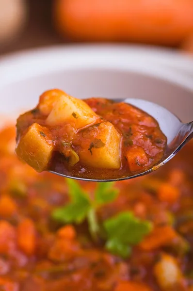 Vegetable soup. — Stock Photo, Image