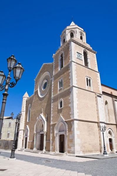 Bazilika Katedrali. Lucera. Puglia. İtalya. — Stok fotoğraf