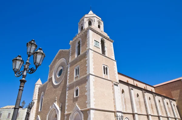 Кафедральний собор. Lucera. Пулья. Італія. — стокове фото