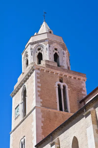 大教堂大教堂。lucera。普利亚大区。意大利. — 图库照片