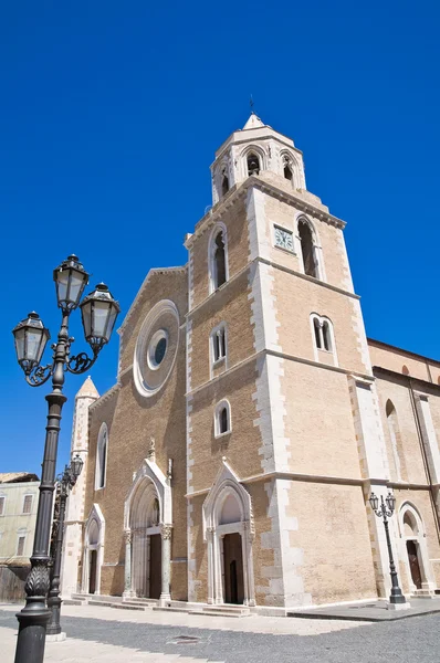 Katedrális bazilika. Lucera. Puglia. Olaszország. — Stock Fotó