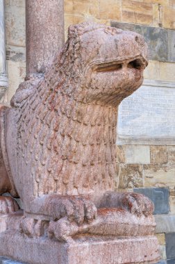 katedral. Parma. Emilia-Romagna. İtalya.