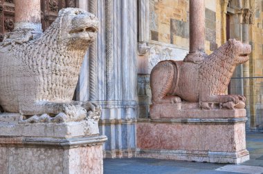 katedral. Parma. Emilia-Romagna. İtalya.