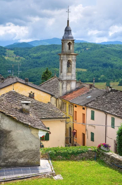 Vue panoramique de Compiano. Emilie-Romagne. Italie . — Photo