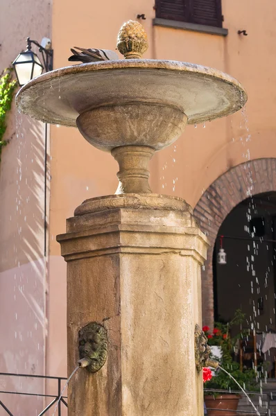 Historische fontein. Brisighella (RA). Emilia-Romagna. Italië. — Stockfoto