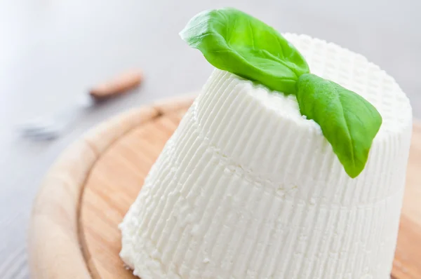 stock image Ricotta cheese with basil leaves.