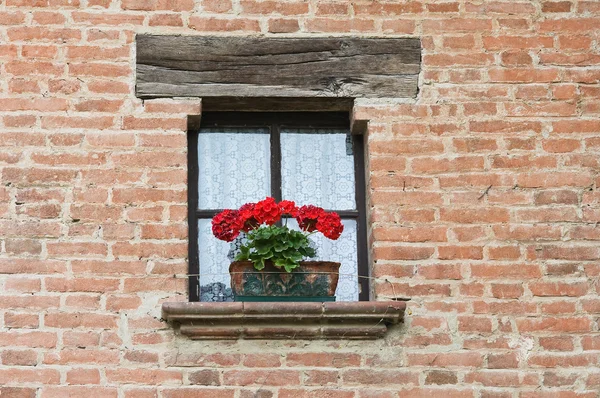 Window with flowers. — Stock Photo, Image