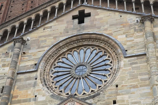 Catedral. Piacenza. Emilia-Romaña. Italia . — Foto de Stock