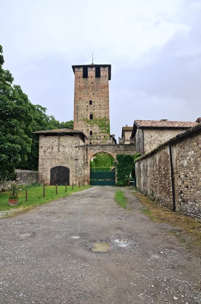 Slottet av vigolzone. Emilia-Romagna. Italien. — Stockfoto