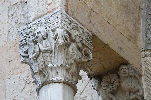 Katedra. Piacenza. Emilia-Romania. Włochy. — Zdjęcie stockowe