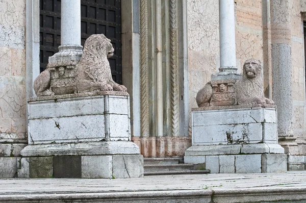 Catedral. Piacenza. Emilia-Romaña. Italia . —  Fotos de Stock