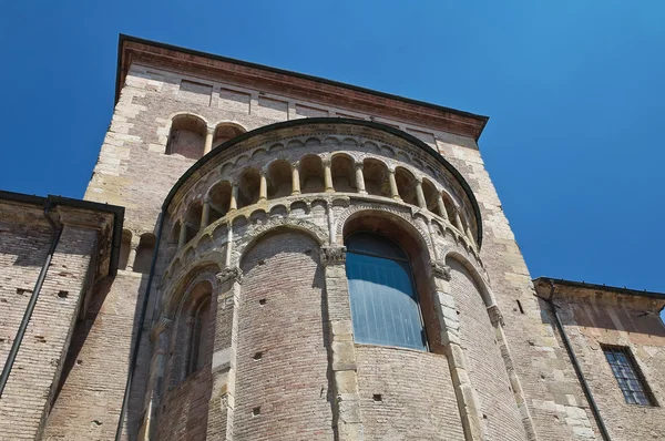 Katedralen. Parma. Emilia-Romagna. Italien. — Stockfoto