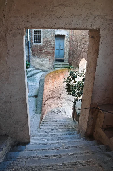 골목입니다. 브리 시 겔 라입니다. 에밀리 아 로마 냐입니다. 이탈리아. — 스톡 사진