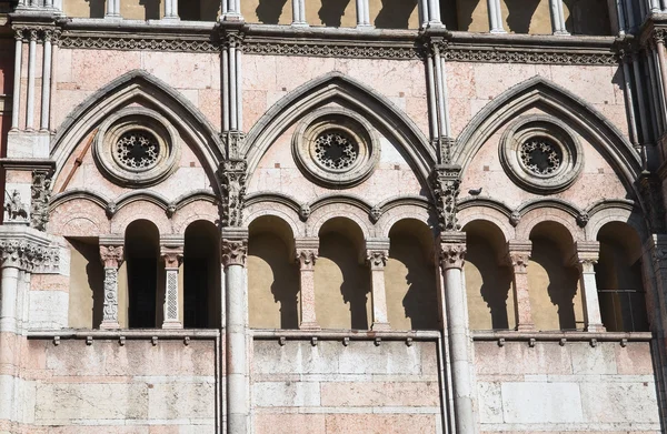 Kathedrale von St. George. Ferrara. Emilia-Romagna. Italien. — Stockfoto