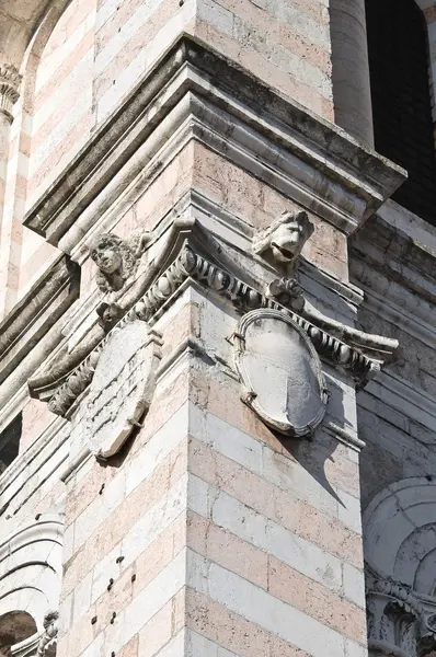 Belltower Katedra w Ferrarze. Emilia-Romania. Włochy. — Zdjęcie stockowe