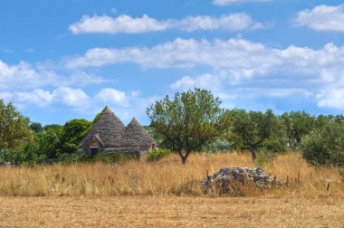 Trullo kırsal kesimde. Noci. Puglia. İtalya.