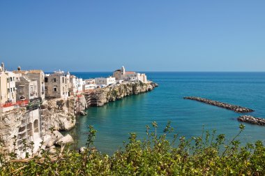 Panoramic view of Vieste. Puglia. Italy. clipart