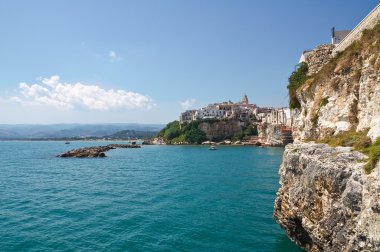 vieste panoramik manzaralı. Puglia. İtalya.