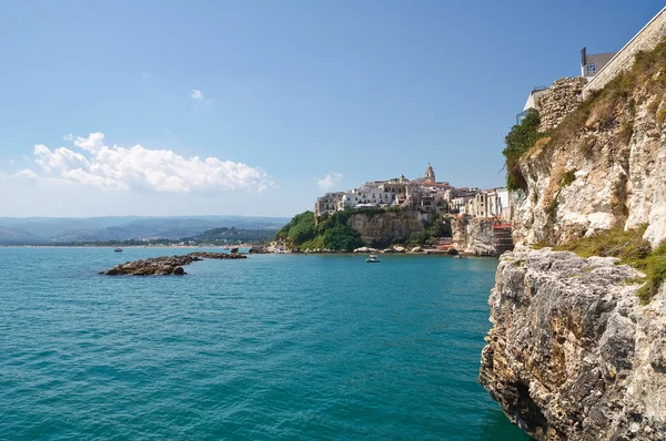 Vista panorâmica de Vieste. Puglia. Itália . — Fotografia de Stock
