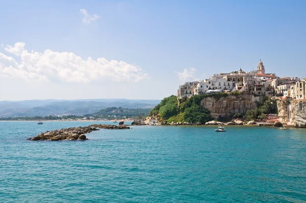 Vista panorámica de Vieste. Puglia. Italia . — Foto de Stock