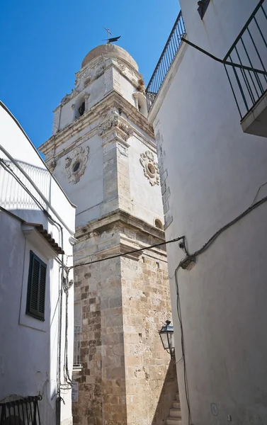 Βασιλική καθεδρικό ναό. Vieste. Puglia. Ιταλία. — Φωτογραφία Αρχείου