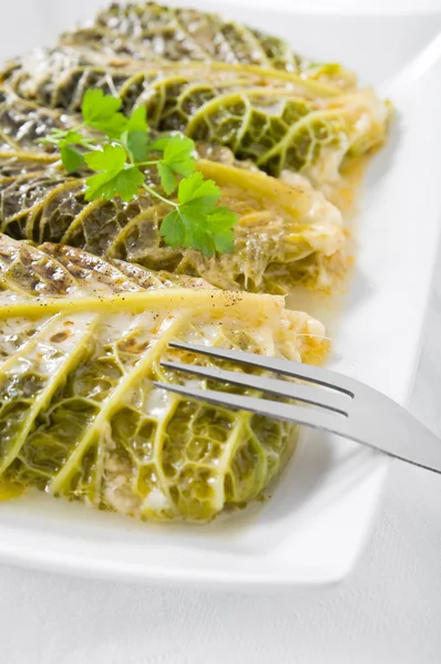 Savoy cabbage rolls on white dish. — Stock Photo, Image