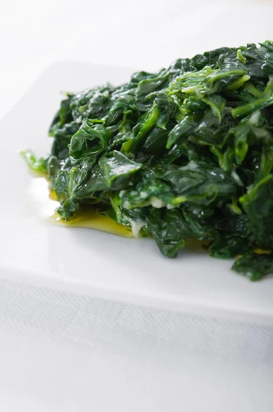 Spinaci bolliti su piatto bianco . — Foto Stock