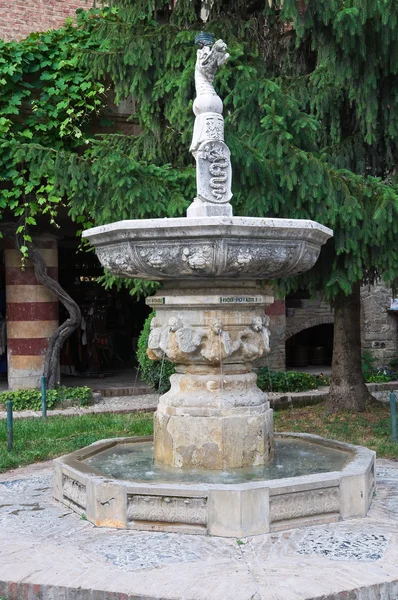Marble fountain. Grazzano Visconti. Emilia-Romagna. Italy. — Stock Photo, Image