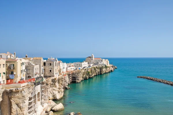 Panoramisch zicht van vieste. Puglia. Italië. — Stockfoto