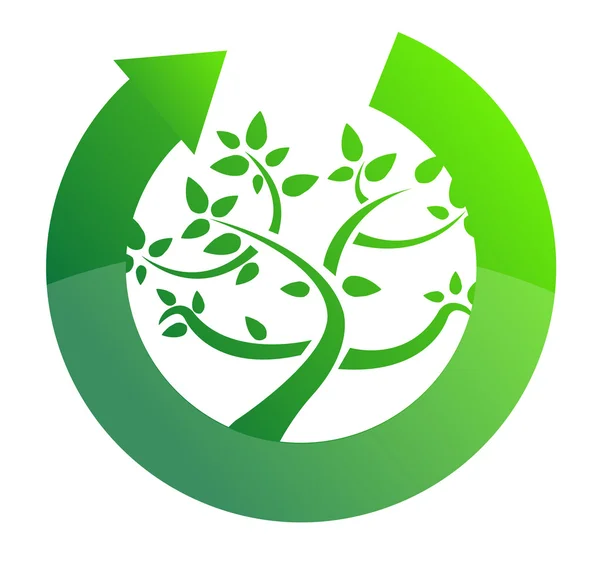 Baum Zyklus Recycling Konzept Illustration Design auf weiß — Stockfoto