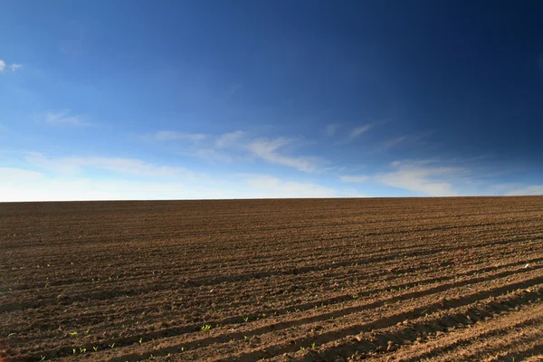 Geploegd veld — Stockfoto