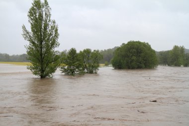 Sel nehri