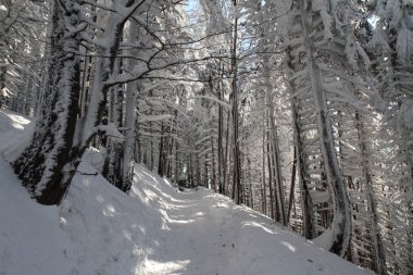 Kış yolu