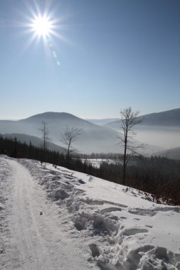 Kış yolu