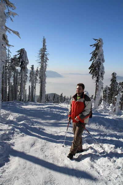 Escursionista in inverno — Foto Stock
