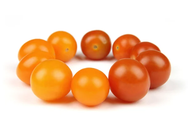 Dos equipos de tomate —  Fotos de Stock
