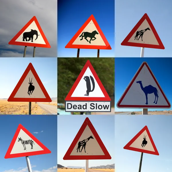 Animal crossing işaretleri — Stok fotoğraf